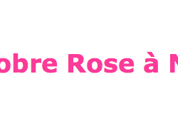 Demain lancement de Octobre Rose à Nice