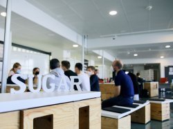 Le réseau international d'innovation SUGAR fait son "kick-off" à Université Côte d'Azur