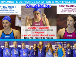 Olympic Nice Natation : RÉSULTATS DES CHAMPIONNATS DE FRANCE 25M A MONTPELLIER